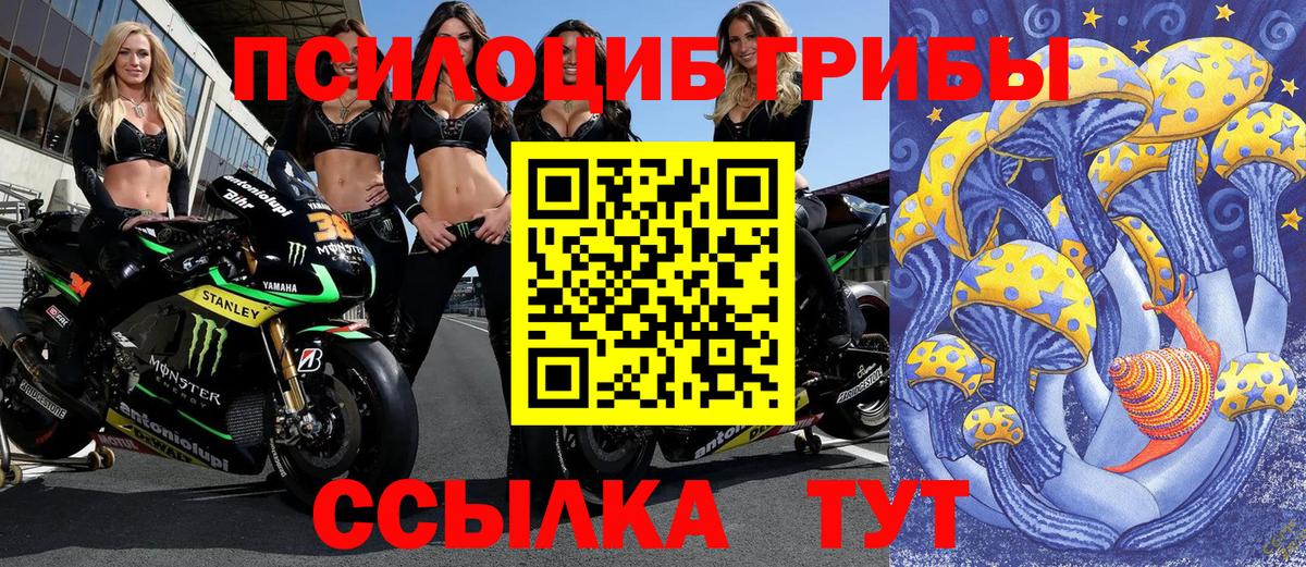 Галлюциногенные грибы мухоморы  закладка  Киселёвск  Вход с VPN 